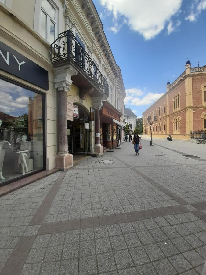 Apartmani Sara Újvidék Kültér fotó